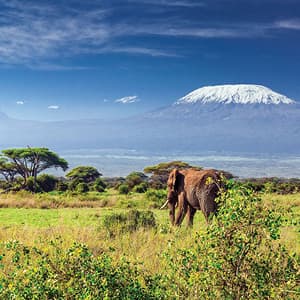 East Africa Private Safari
